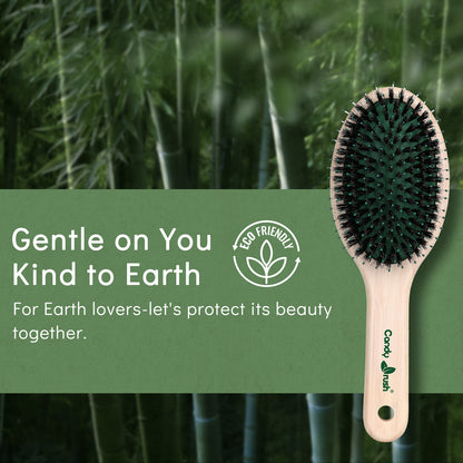 Candy Brush Oval Bamboo Boar Bristle Hair Brush | BE302M
