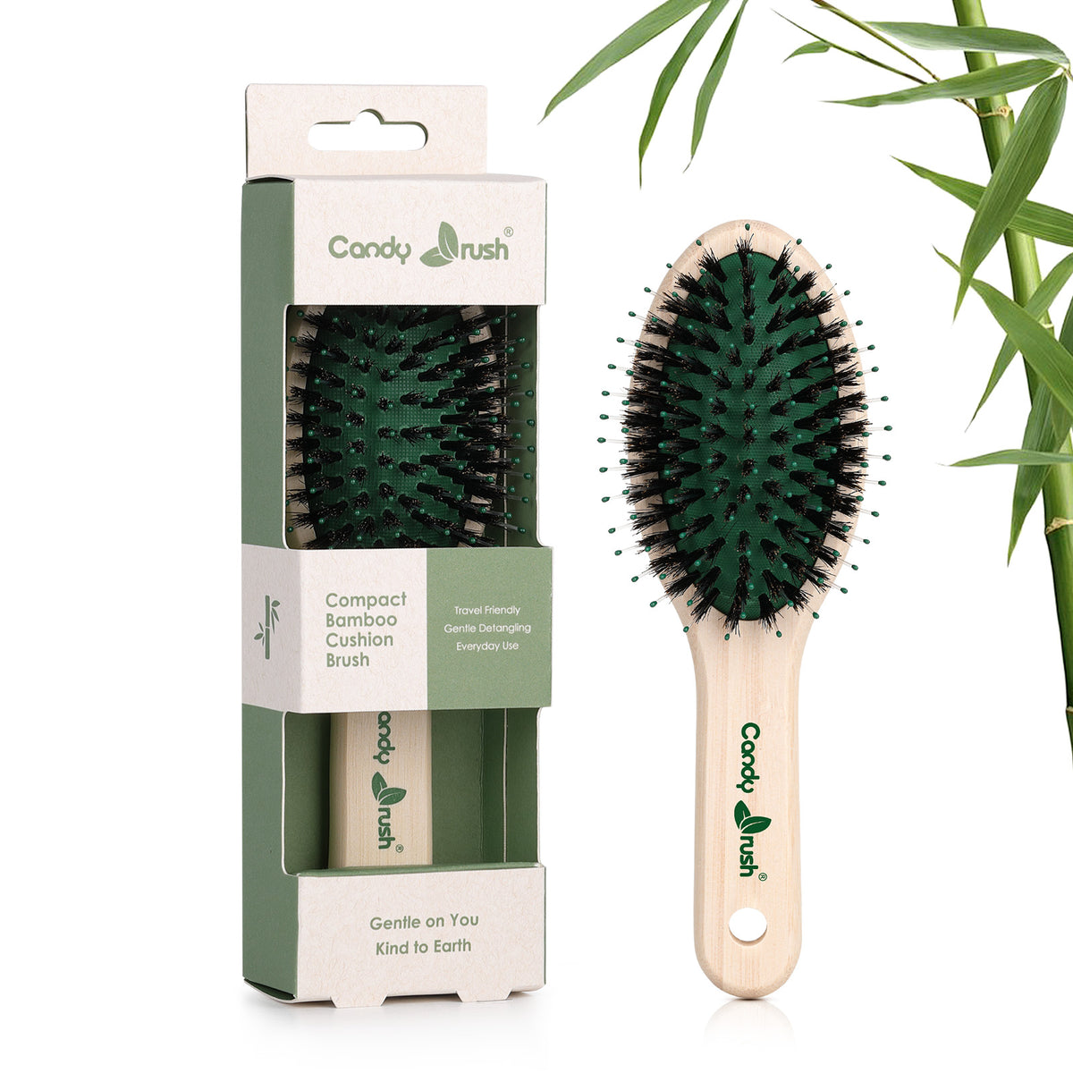 BE301M small bamboo boar bristle hair brush shown with retail packaging