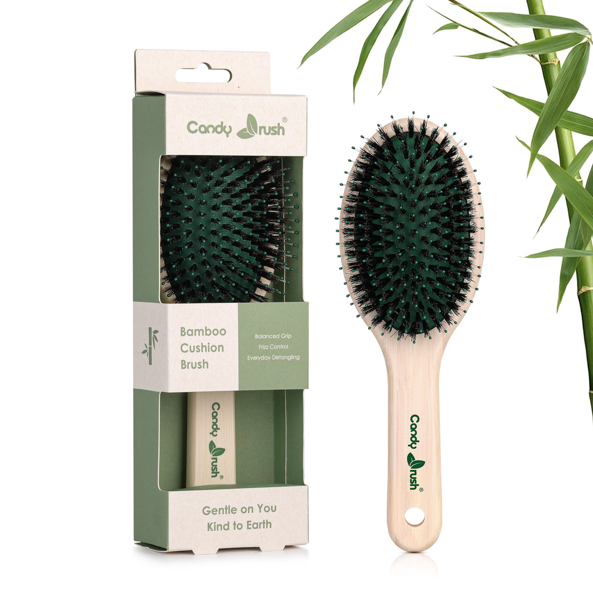 BE302M oval bamboo boar bristle hair brush shown with retail packaging