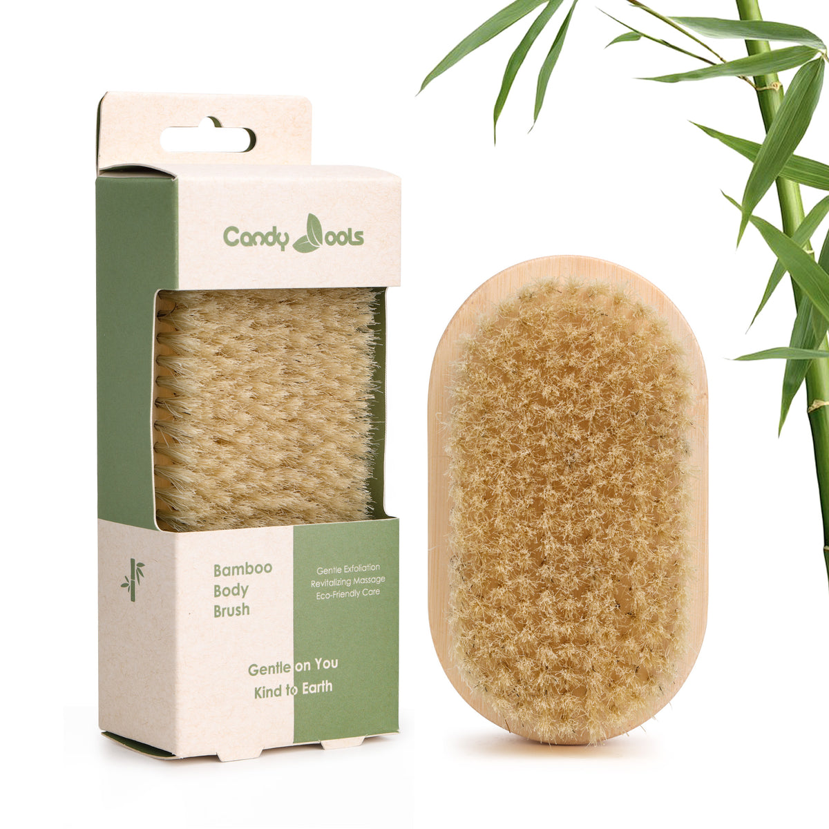 EB-1604 bamboo boar bristle body brush shown with retail packaging